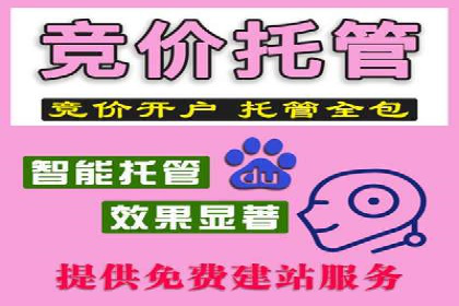 SEM代运营机构案例分析：优化策略与执行